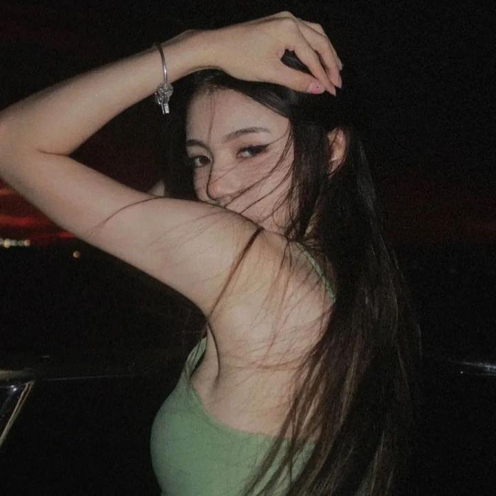 木材宝藏狗 封面